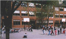 Colegio Doctor Federico Rubio: Colegio Público en MADRID,Infantil,Primaria,